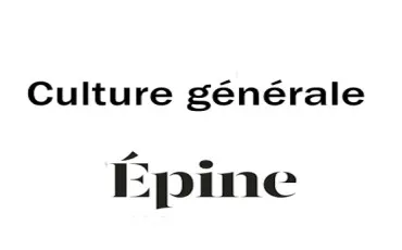 Quiz Culture générale