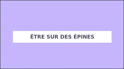Que signifie l'expression ''&Ecirc;tre sur des &eacute;pines'' ?