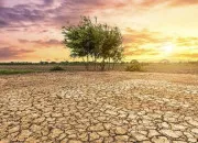 Quiz Le réchauffement climatique - Va-t-on tous crever ?