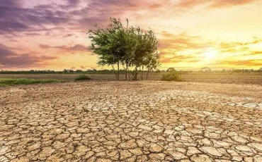Quiz Notre planète