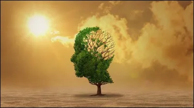 Quel pays a r&eacute;cemment annonc&eacute; des &eacute;t&eacute;s o&ugrave; certaines r&eacute;gions deviennent physiologiquement dangereuses sans climatisation ?