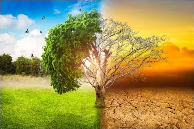 Quel ph&eacute;nom&egrave;ne climatique extr&ecirc;me augmente le plus rapidement en fr&eacute;quence ?