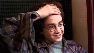 Qui vient chercher Harry pour lui annoncer qu'il est un sorcier ?