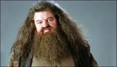 Quel est le pr&eacute;nom de Hagrid ?