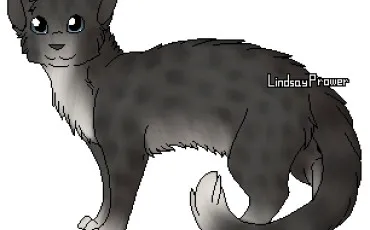 Quiz Littérature, poésie