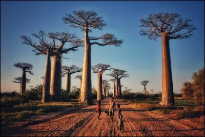 Comment appelle-t-on les habitants de Madagascar ?