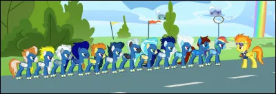 Quel groupe d'&eacute;lite de voltige a&eacute;rienne Rainbow Dash r&ecirc;ve-t-elle d'int&eacute;grer depuis son plus jeune &acirc;ge ?