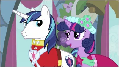 Comment s'appelle le grand fr&egrave;re de Twilight Sparkle, qui est aussi le capitaine de la garde royale ?