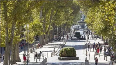 En marchant &agrave; l'ombre des platanes du cours Mirabeau, dans quelle ville se prom&egrave;ne-t-on ?