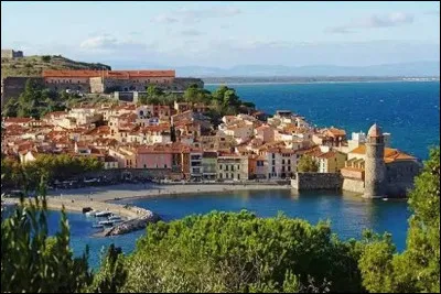 Quel golfe borde les c&ocirc;tes languedociennes ?