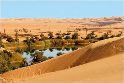 Dans quel pays la r&eacute;gion d&eacute;sertique du Fezzan se trouve-t-elle ?