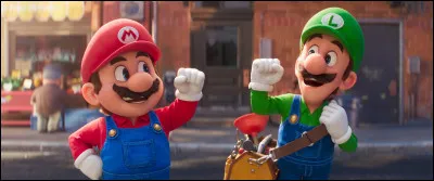 Bonjour &agrave; tous ! Pour commencer, qui est le pire ennemi de Mario ?