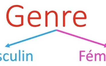Quiz Langue française