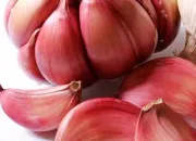 Quiz Ail : aïe aïe !