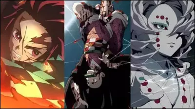 Qui a gagn&eacute; ? Tanjiro et Nezuko ou Rui ?
