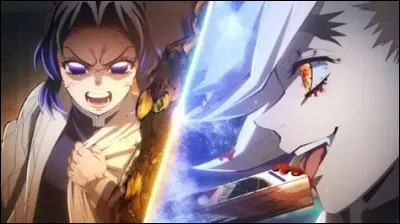 Qui a gagn&eacute; ? Shinobu, Kanao et Inosuke ou Doma ?