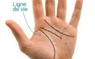 Quiz Culture générale