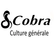 Quiz Cobra, python, boa