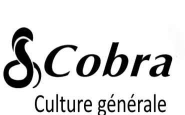 Quiz Culture générale