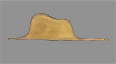 Dans ''Le Petit Prince'', le narrateur dessine un serpent boa qui a aval&eacute; quel animal ?
