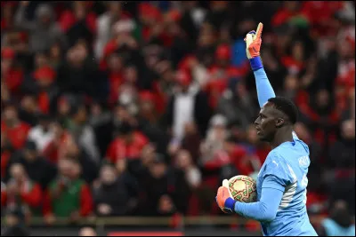De quel pays vient &Eacute;douard Mendy ?