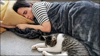 Si ton chat prend toute la place sur ton lit...