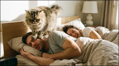Si ton chat te r&eacute;veille &agrave; 5h du matin...