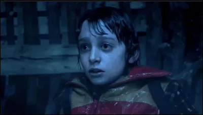Comment se nomme le gar&ccedil;on de 12 ans qui dispara&icirc;t dans le premier &eacute;pisode de la s&eacute;rie et est l'&eacute;l&eacute;ment d&eacute;clencheur de l'histoire ?