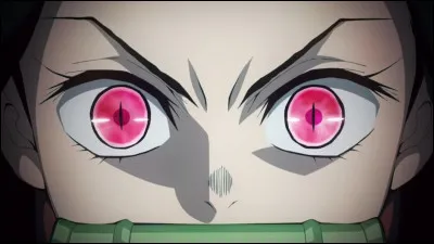 Qui poss&egrave;de ces yeux caract&eacute;ristiques dans ''Demon Slayer'' ?