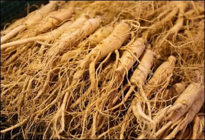 Quelle est cette plante asiatique utilis&eacute;e pour lutter contre la fatigue ?