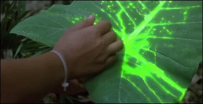 D'o&ugrave; vient cette image ?