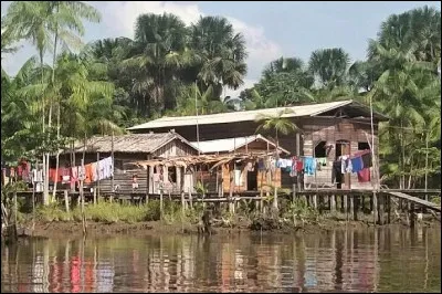 Maraj&oacute; est une grande &icirc;le fluviale situ&eacute;e en plein c&oelig;ur de l'Amazone. &Agrave; quel pays appartient-elle ?