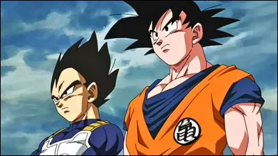 Quelle est la race de Goku et V&eacute;g&eacute;ta ?