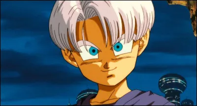 Comment s'appelle le fils de V&eacute;g&eacute;ta et Bulma ?