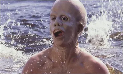 De quel film vient cette image ?