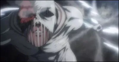 Quelle est la capacit&eacute; unique du Titan Marteau ?