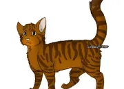 Quiz LGDC - Connais-tu bien Poil de Fougère ?