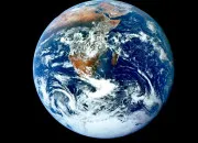 Quiz Une définition : un terme en écologie
