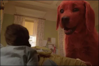 Quel est le nom de ce grand chien rouge, personnage de livres pour la jeunesse, de s&eacute;ries anim&eacute;es et de films ?
