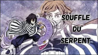 De quels Souffles provient le Souffle du Serpent ?