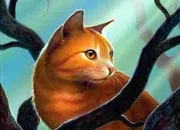Quiz ~ Étoile du Tonnerre de LGDC ~