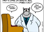 Quiz Plus c'est con, plus c'est bon !