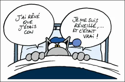 Si ce quiz est absolument stupide, comme quoi est-il con ?