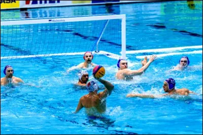 Encore un sport aquatique mais plus connu, c'est bien s&ucirc;r le...