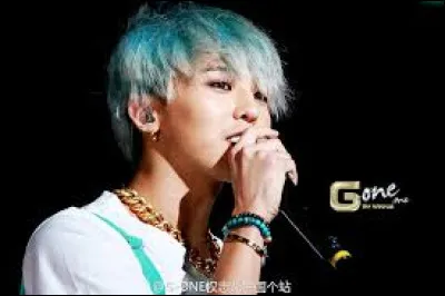 Qui est son ami d'enfance dans le groupe Big Bang ?