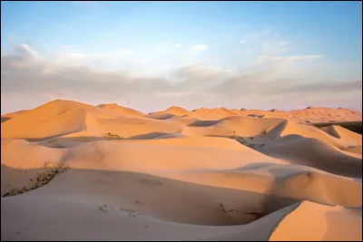 Quel est le plus grand d&eacute;sert chaud ?