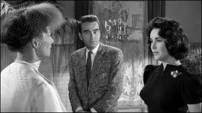 Quel est le titre fran&ccedil;ais de ce film am&eacute;ricain de 1959, adapt&eacute; d'une pi&egrave;ce de Tennessee Williams ?