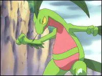 Comment s'appelle ce Pokmon ?