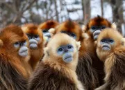 Quiz Un indice pour un animal