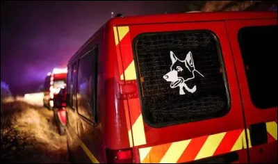 Quelle &eacute;quipe sp&eacute;cialis&eacute;e du SDIS 974 peut intervenir avec des chiens lors de certaines op&eacute;rations de recherche ?